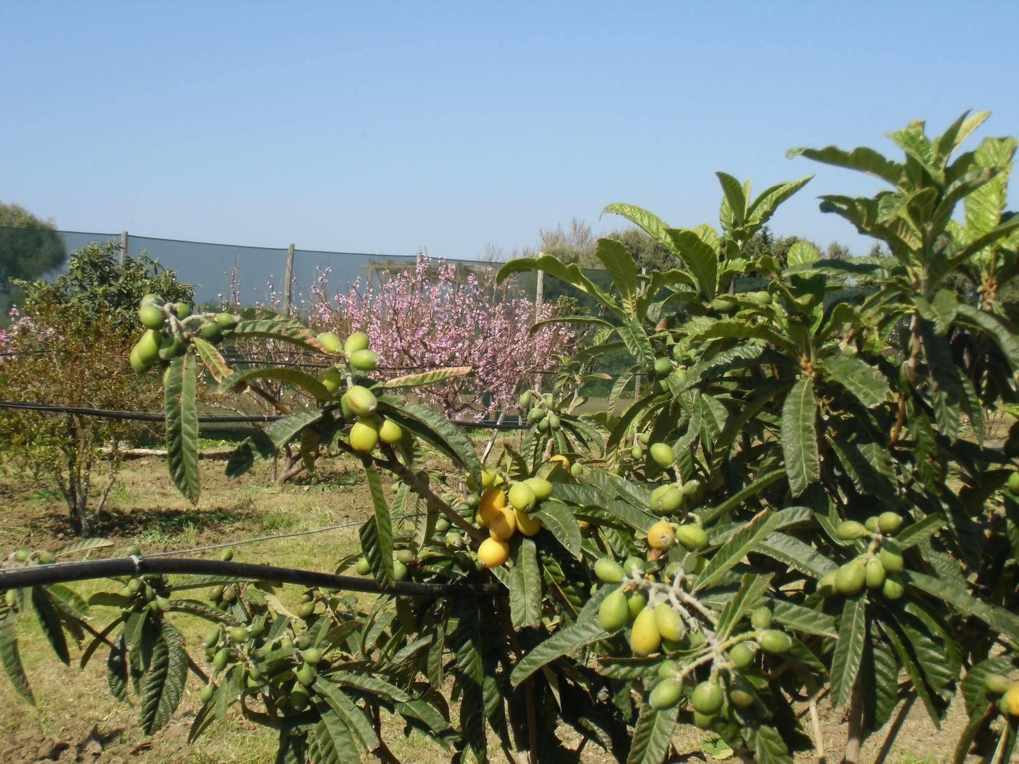 Stella Di Sicilia Villa San Fratello Luaran gambar